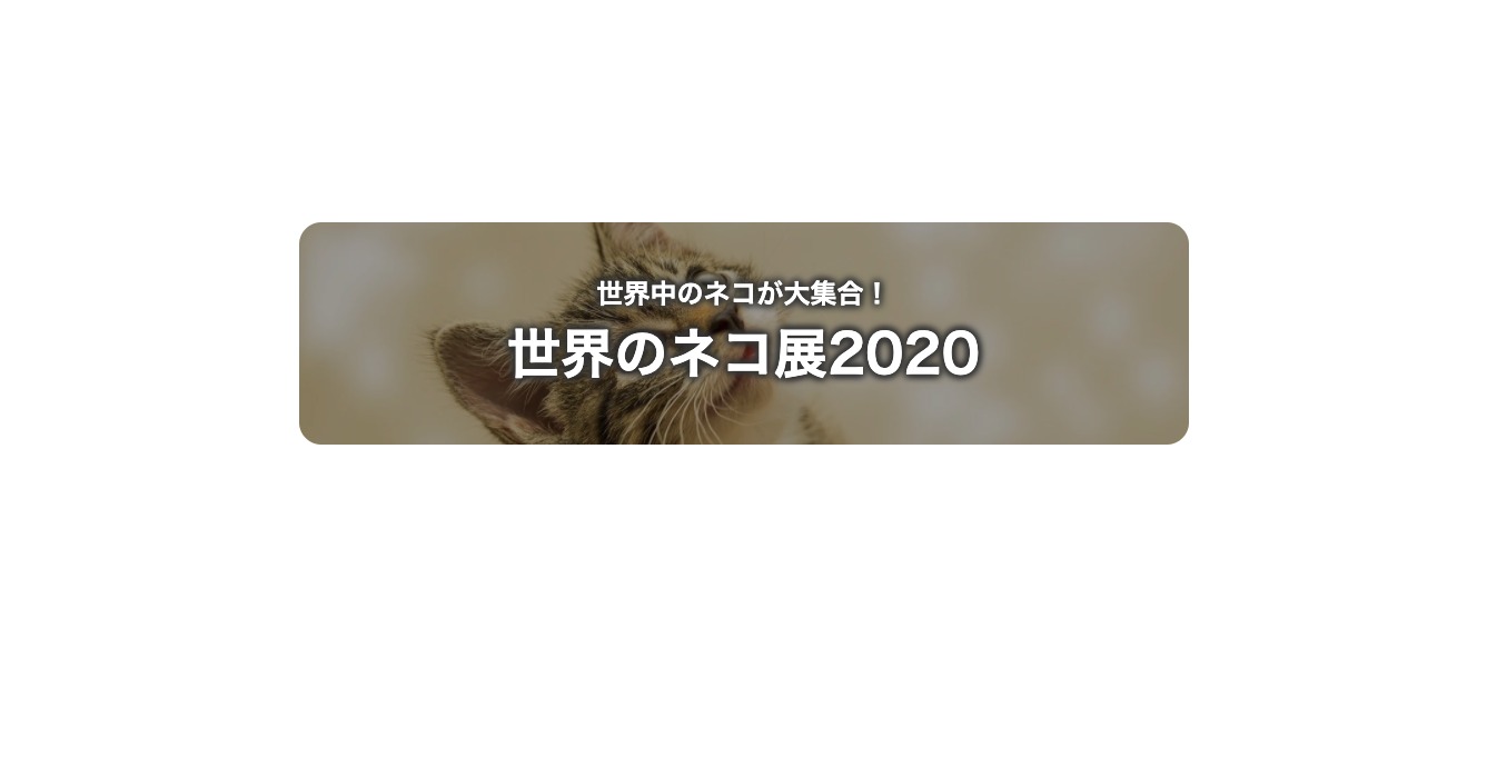 写真付きのバナーリンク